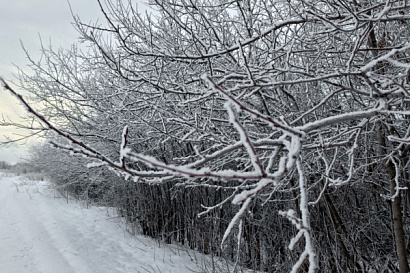 Название статьи