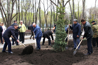 В самарском парке появилась "Аллея памяти"