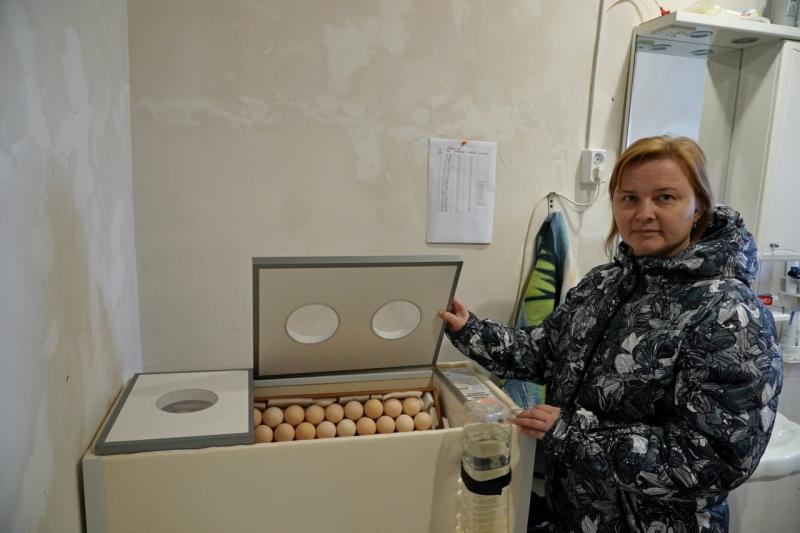 Соцконтракт помог многодетной семье из Елховского района открыть полезное производство