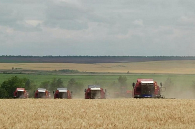 Уборочная кампания началась в 8 муниципальных районах Самарской области