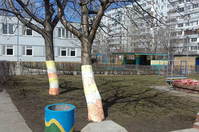 В Тольятти возбудили уголовное дело после того, как 3-летняя девочка лишилась части пальца в детсаду