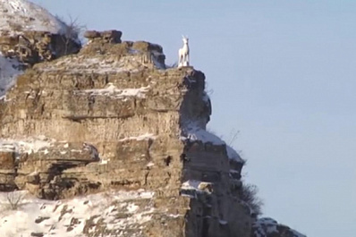 Самарцы отправились в сказочную поездку в рамках “Жигулевской кругосветки”