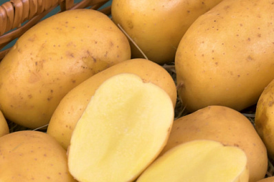 Уникальный сорт картофеля для чипсов, фри и домашних блюд вывела компания 