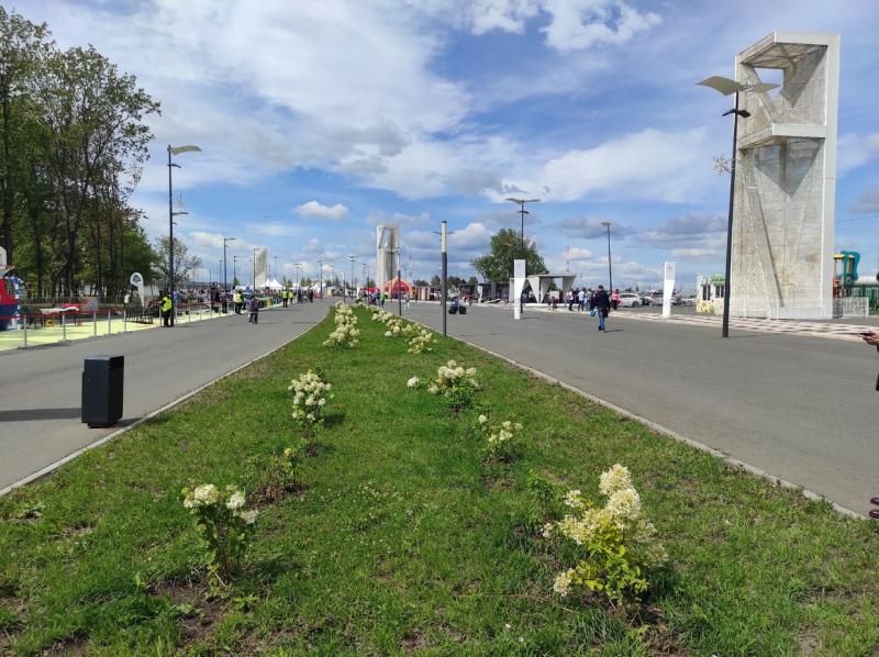 Игры, спортивные состязания, выставки и показательные выступления: как Самара отмечает двойной праздник