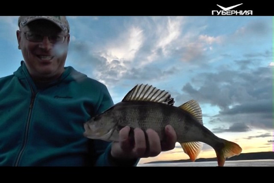 Рыбацкое счастье 04.07.2017. Ловля судака
