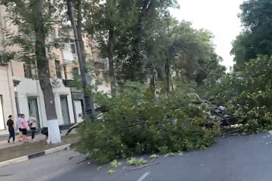 В центре Самары дерево упало на машины и перекрыло дорогу