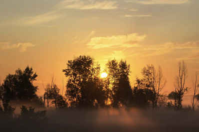 В ближайшие часы Самарскую область окутает туман