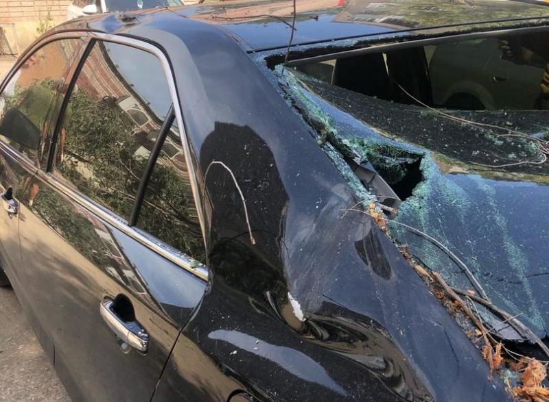 В Самаре крупное дерево раздавило четыре машины