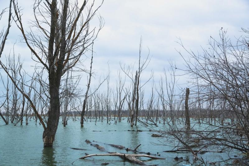 В Кинель-Черкасском районе из-за паводка мост частично ушел под воду