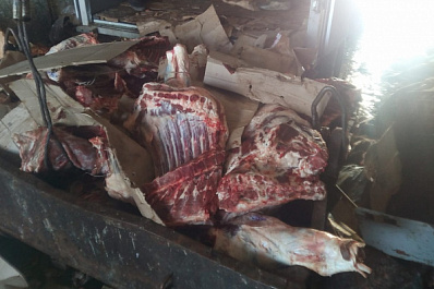 В Самарскую область попало несколько тонн неизвестной говядины