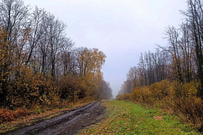 Эконадзор из космоса выявил многомиллионный ущерб недрам в Сызранском районе