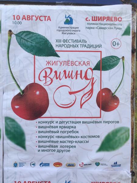 В Самарской области прошел фестиваль "Жигулёвская вишня"