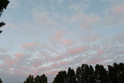 Погода на 1 июня 2025 года: народные приметы и прогноз синоптиков