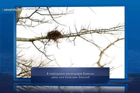 Емельян Зимний. Календарь Губернии от 21 января