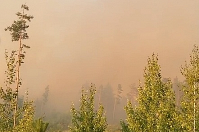 В Тольятти утром 26 августа локализовали пожар в городском лесничестве