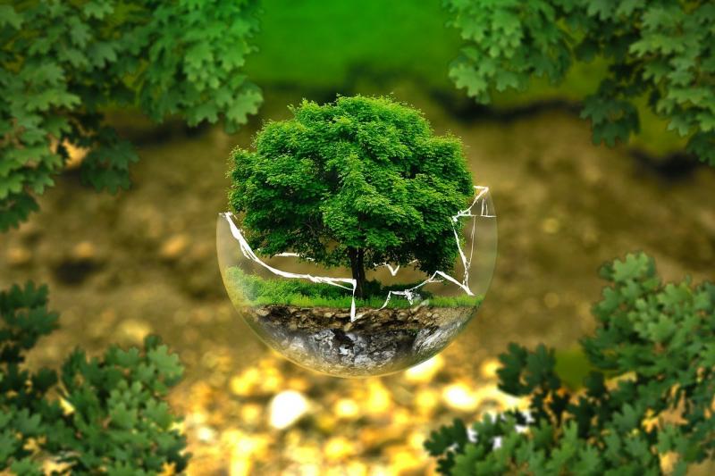 Экофестиваль "Природа, экология, будущее" пройдет в Струковском саду Самары 3 июня 2022 года