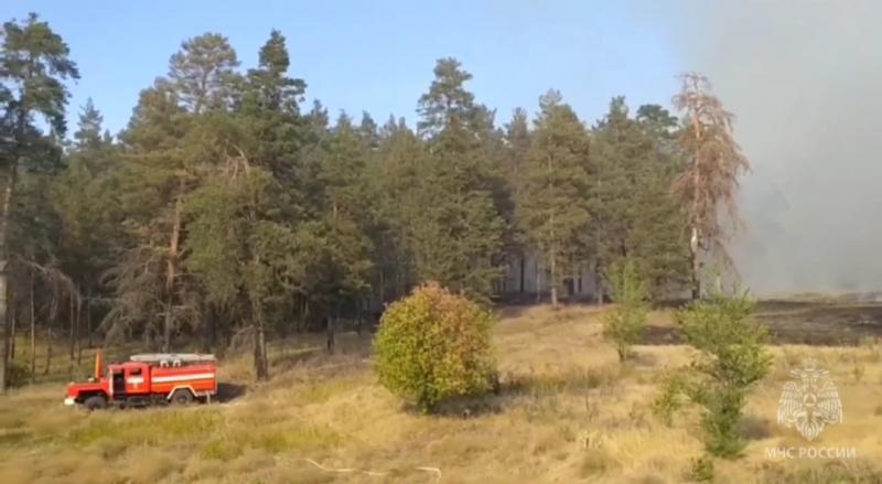 Пожар в Новобуянском лесничестве Самарской области локализован