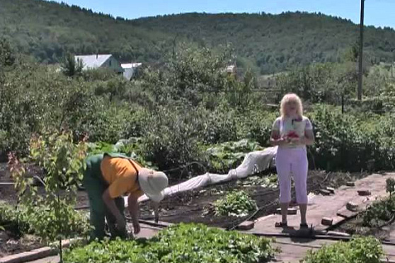 Дачные советы 28.06.2012