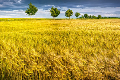 Синоптики предупредили о сильном ветре 21 мая в Самарской области
