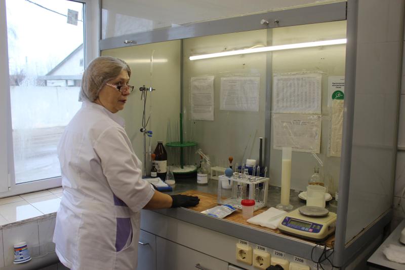 Как делают "молочку" в Красном Яре: репортаж с завода, который перерабатывает до 50 тонн сырья в сутки