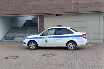 В Тольятти водитель проехал по пешеходной дорожке и получил штраф