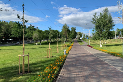 Коммунальщики попросили прекратить сажать деревья на Ново-Садовой