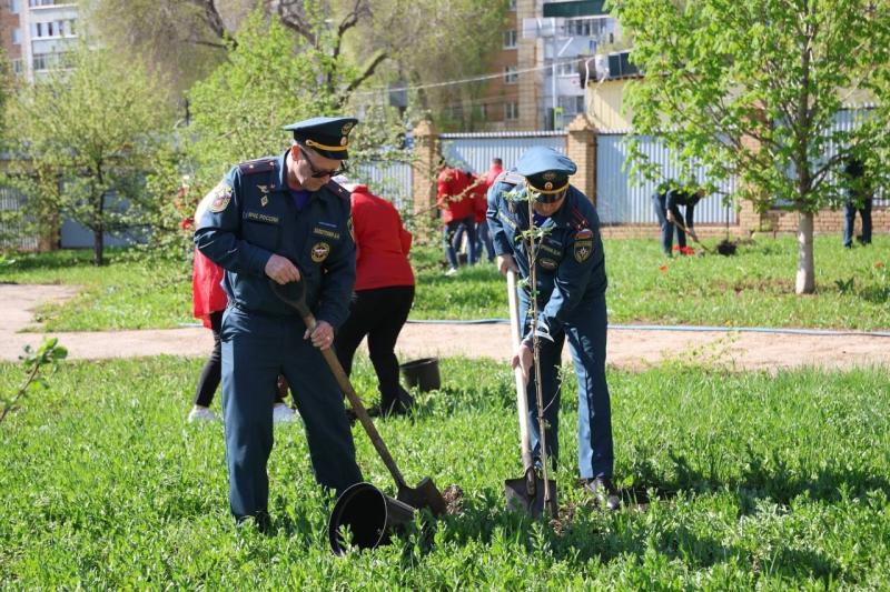 В Самаре высадили яблоневую аллею Победы