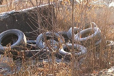 Активисты ОНФ выявили в Самаре незаконную свалку мусора