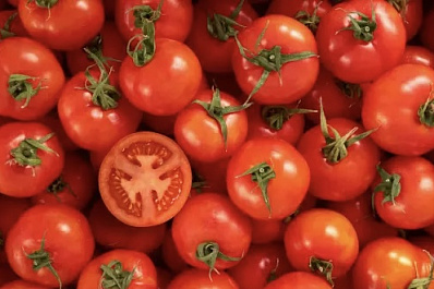 Эксперты рассказали, чем полезны томаты 