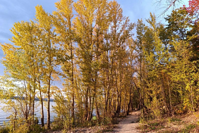 В Самарской области 5 октября будет облачно и по-осеннему тепло