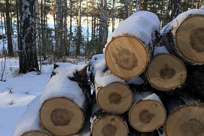 Синоптики: первый снег в Самарской области может выпасть в течение недели