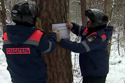 Новый лед, дополнительные парковки и предупреждающие таблички: что изменилось благодаря обращениям жителей Самарской области