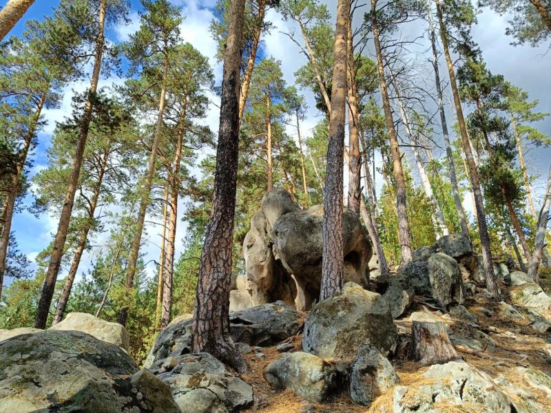 В Самарской области до 18 октября сохранится угроза лесных пожаров 