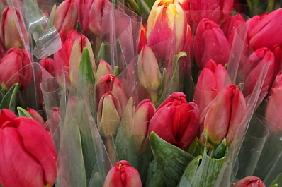 Самарцы на 8 Марта в среднем планируют потратить 5200 рублей