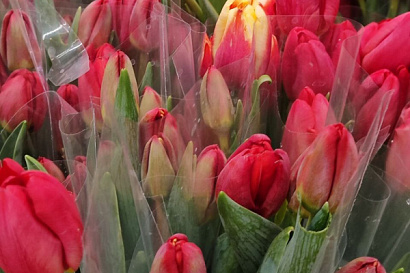 Название статьи