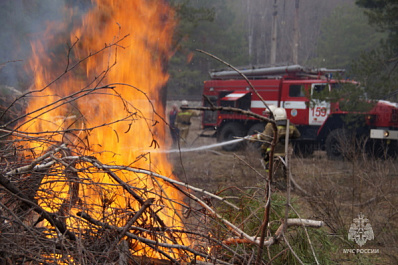 12 пожаров за выходные: почему нельзя сжигать сухую траву на дачных участках 