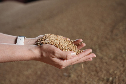 Название статьи