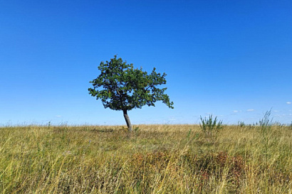 Название статьи