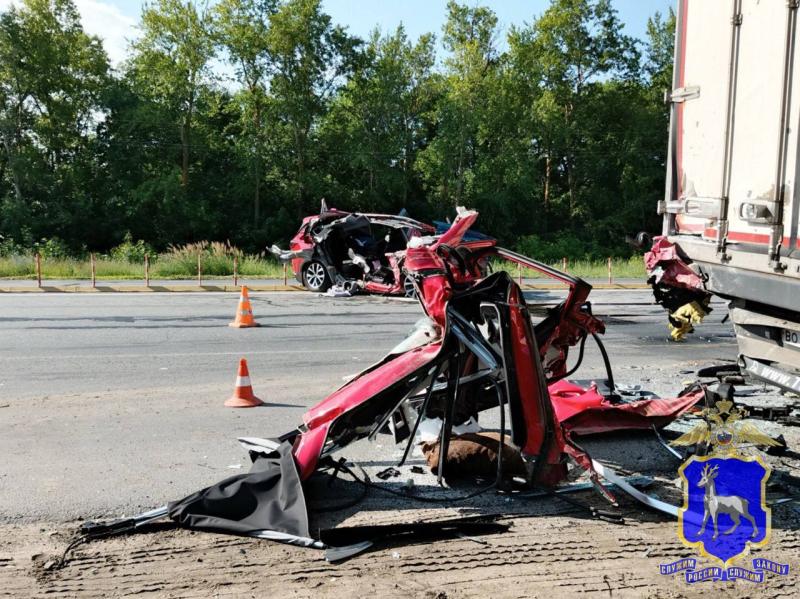 Врезалась в стоящий грузовик: в Самарской области 23 июня погиб пассажир иномарки