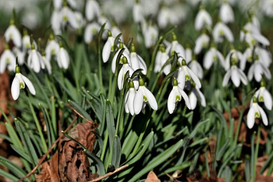 В Самарской области снова побито несколько температурных рекордов