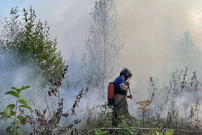 В Нижегородской области локализован лесной пожар на 360 гектарах