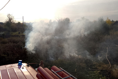 В селе Черноречье Самарской области горели гараж и трава
