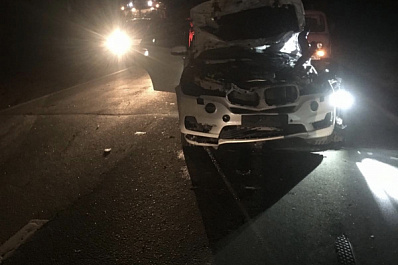 В Елховском районе под колёсами BMW погиб лось   