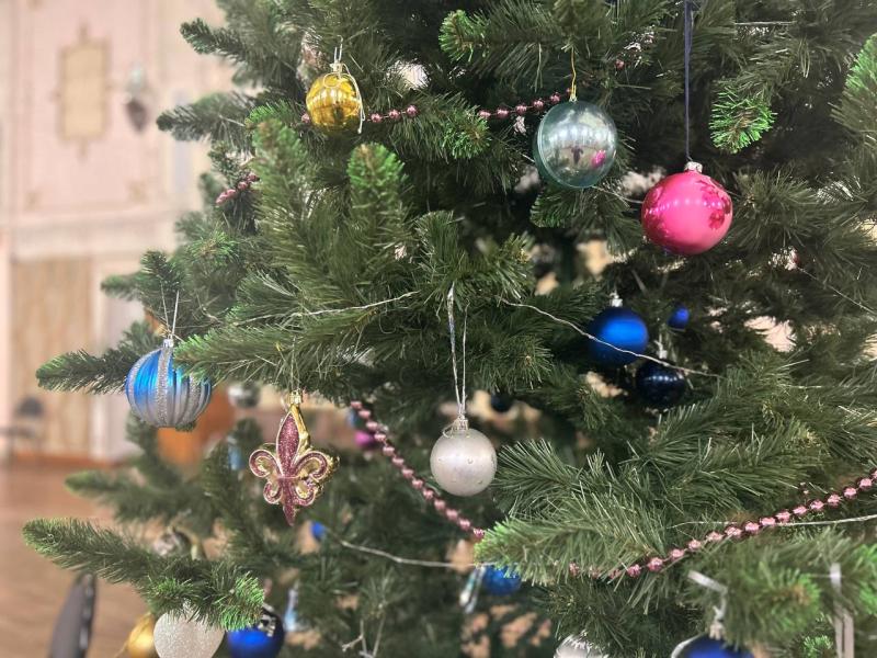 Эксперты советуют выбирать елки с гибкими ветвями и прочной хвоей