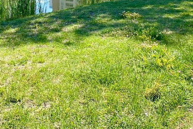 В Хворостянке появится новый парк 