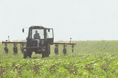 После посевной: самарские аграрии вышли на сенокос и на защиту растений