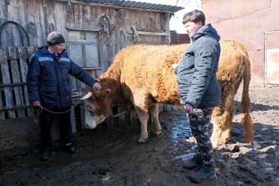 В Большечерниговском районе семья оценила возможности соцконтракта