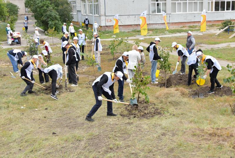 80 молодых лип высадили нефтяники в Сызрани