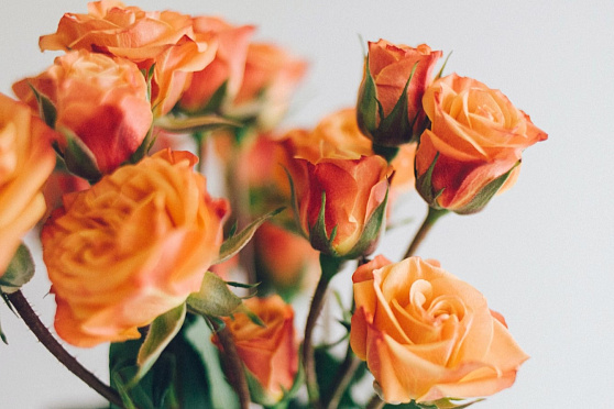 Оранжевый день. Такое утро