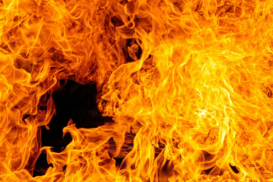 Пожар уничтожил питомник бурманских кошек